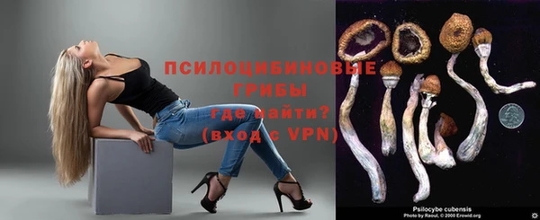 дурь Аркадак