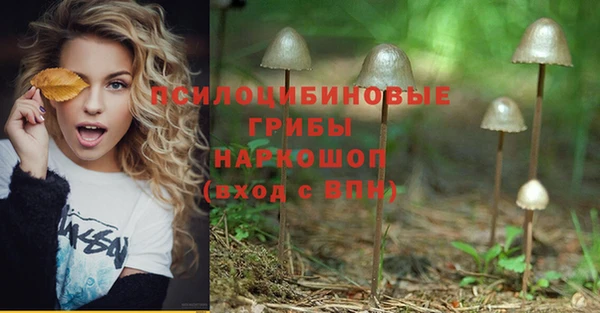 дурь Аркадак